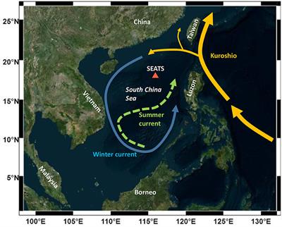 Diel to Seasonal Variation of Picoplankton in the Tropical South China Sea